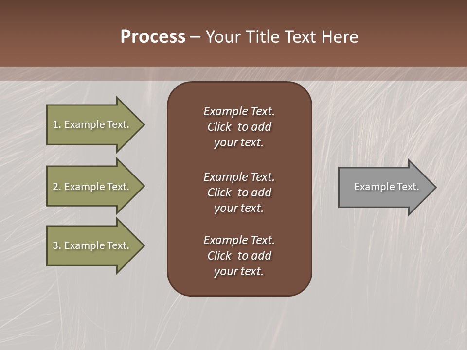 Long Macro Background PowerPoint Template