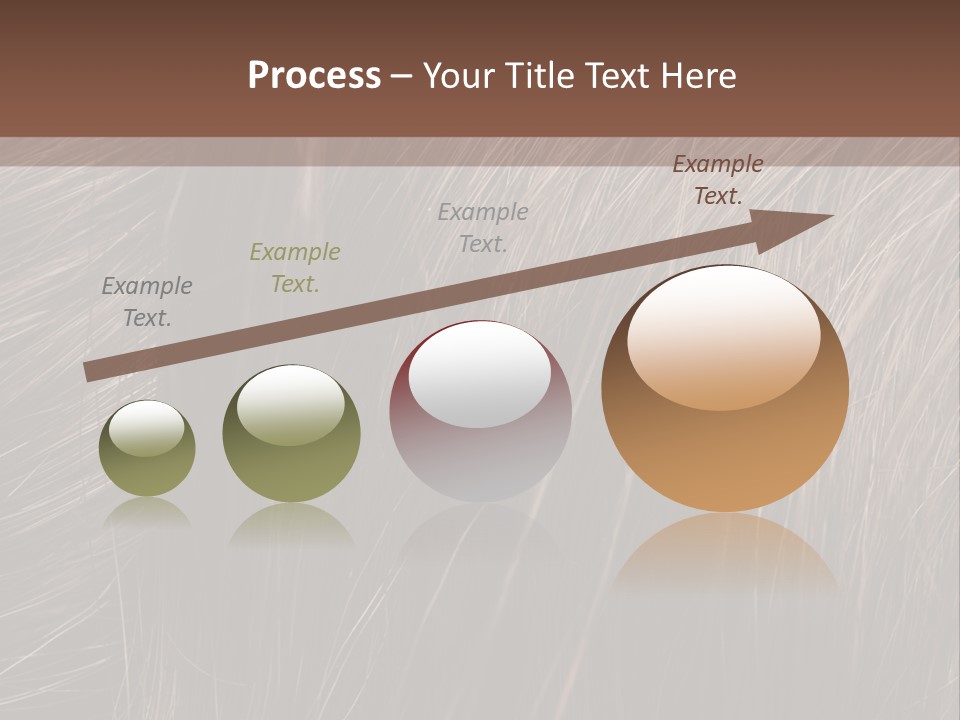 Long Macro Background PowerPoint Template