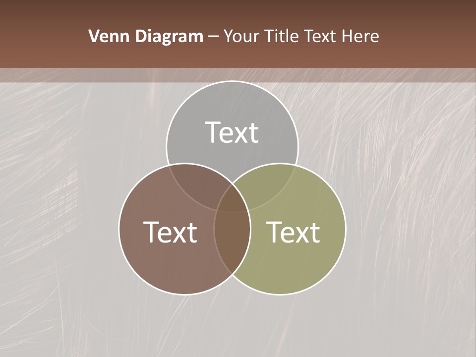 Long Macro Background PowerPoint Template