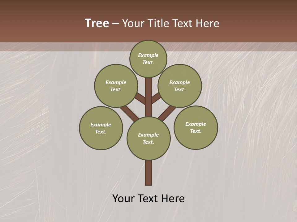 Long Macro Background PowerPoint Template