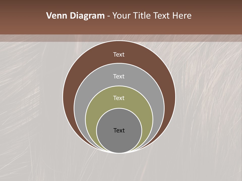Long Macro Background PowerPoint Template