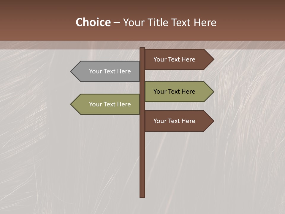 Long Macro Background PowerPoint Template