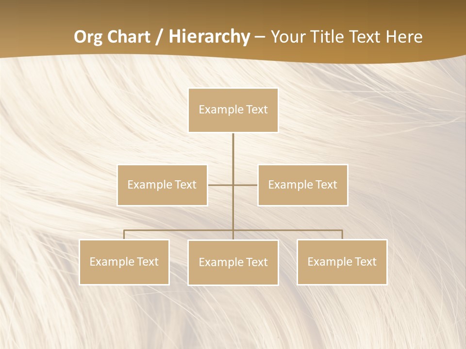 Hair Background PowerPoint Template