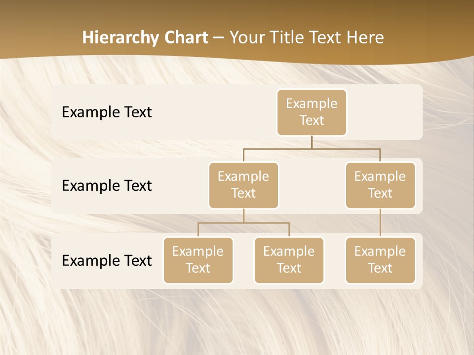 Hair Background PowerPoint Template