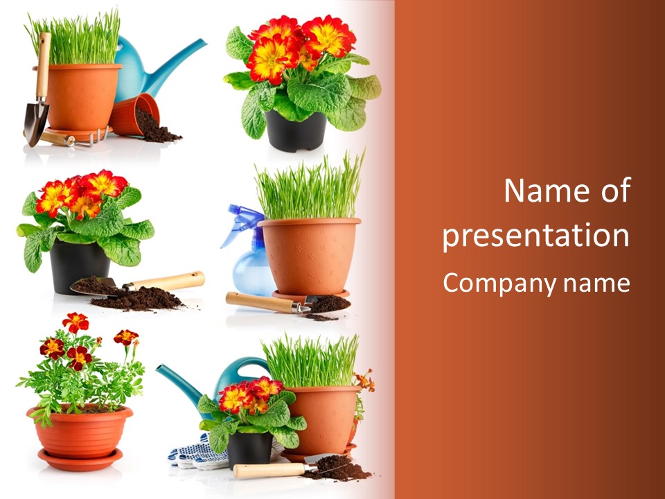 Flowers Pot PowerPoint Template