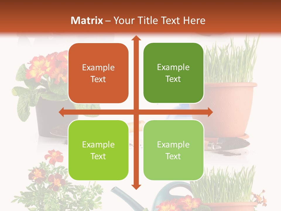 Flowers Pot PowerPoint Template