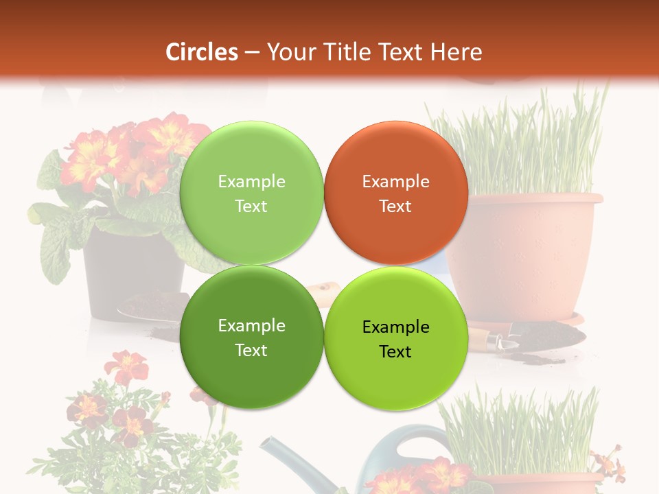 Flowers Pot PowerPoint Template
