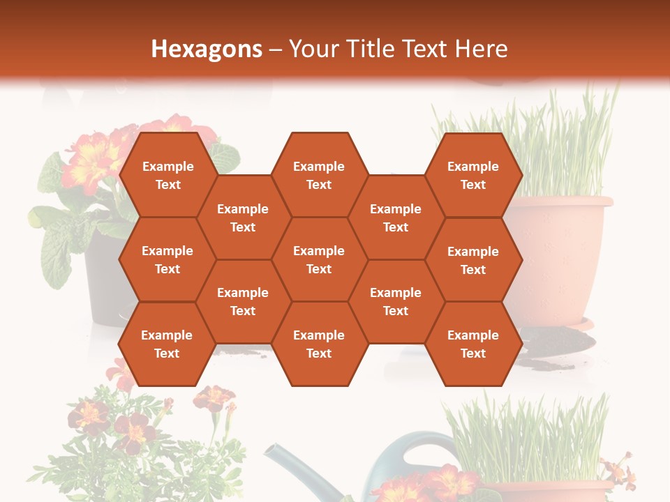Flowers Pot PowerPoint Template