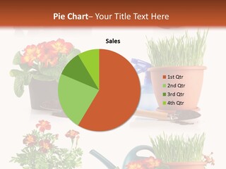 Flowers Pot PowerPoint Template