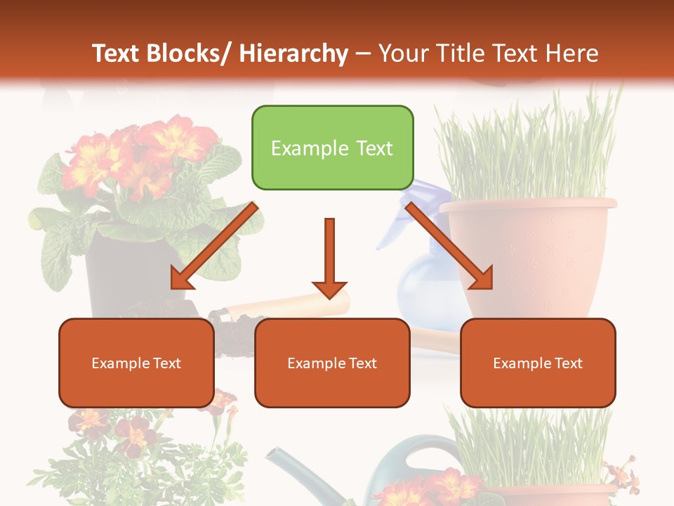 Flowers Pot PowerPoint Template