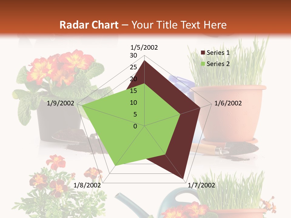 Flowers Pot PowerPoint Template