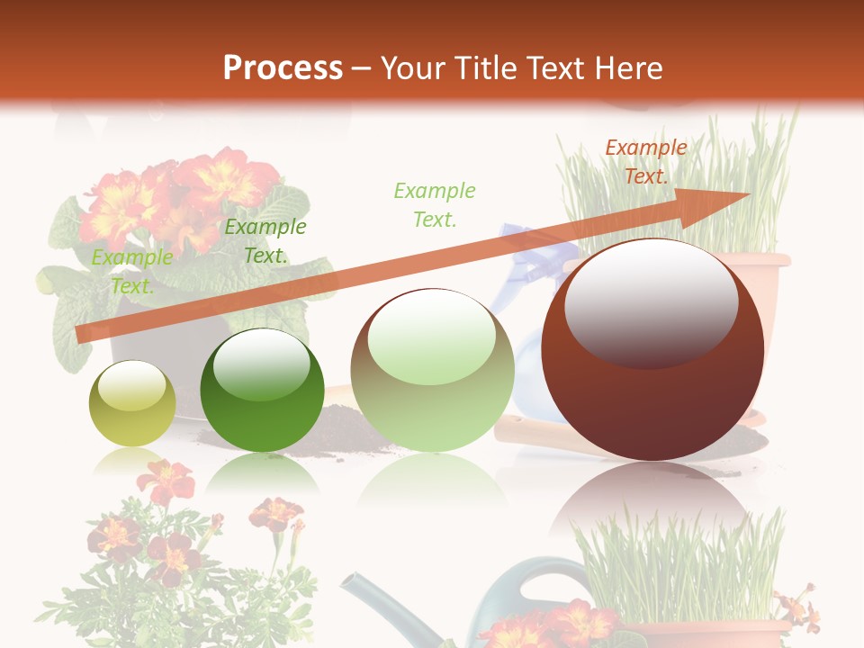Flowers Pot PowerPoint Template