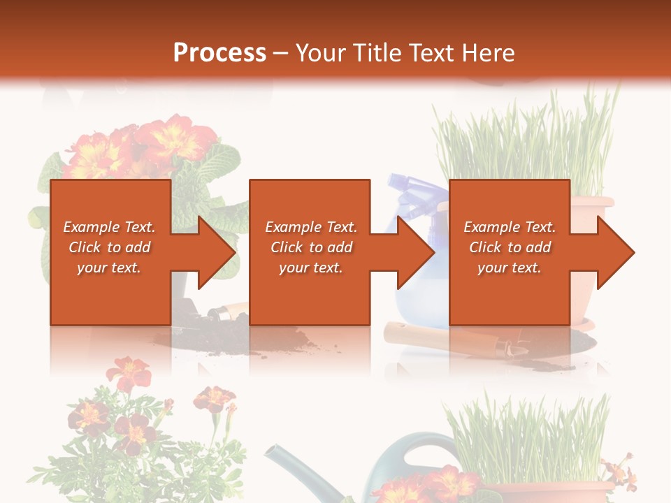 Flowers Pot PowerPoint Template