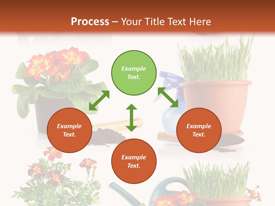 Flowers Pot PowerPoint Template