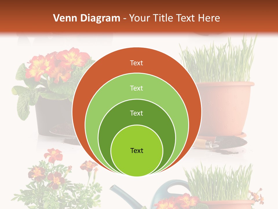 Flowers Pot PowerPoint Template
