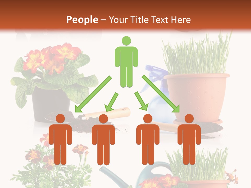 Flowers Pot PowerPoint Template