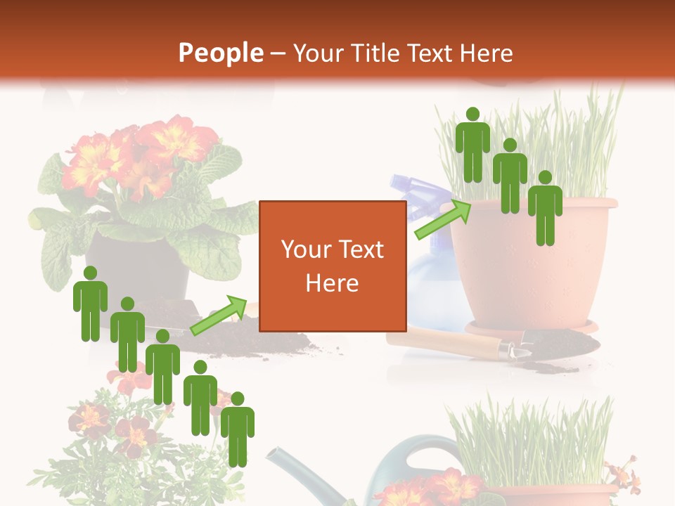 Flowers Pot PowerPoint Template