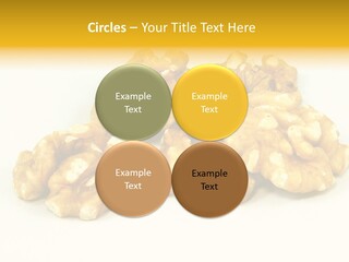 Section Natural View PowerPoint Template