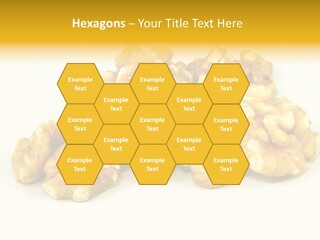 Section Natural View PowerPoint Template