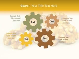 Section Natural View PowerPoint Template