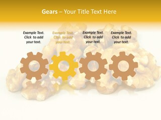 Section Natural View PowerPoint Template