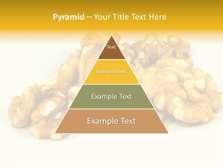 Section Natural View PowerPoint Template