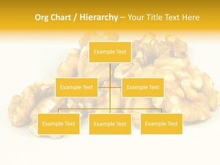 Section Natural View PowerPoint Template
