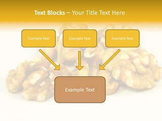 Section Natural View PowerPoint Template