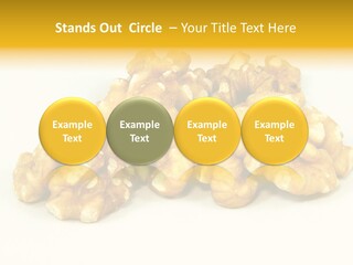 Section Natural View PowerPoint Template