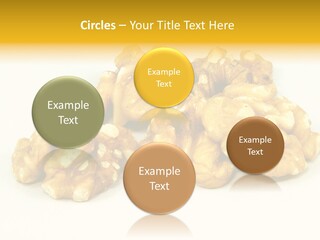 Section Natural View PowerPoint Template