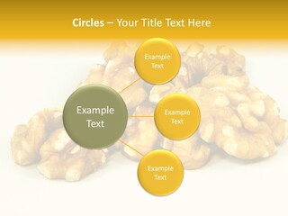 Section Natural View PowerPoint Template