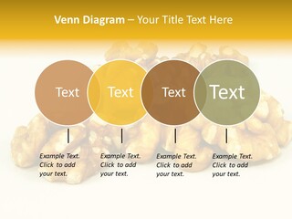 Section Natural View PowerPoint Template