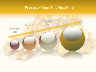 Section Natural View PowerPoint Template