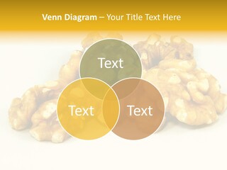 Section Natural View PowerPoint Template