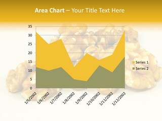 Section Natural View PowerPoint Template