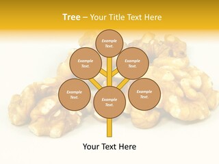 Section Natural View PowerPoint Template