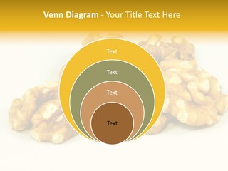 Section Natural View PowerPoint Template