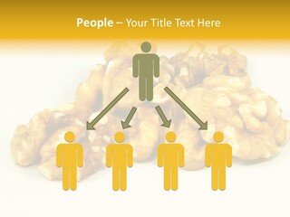 Section Natural View PowerPoint Template