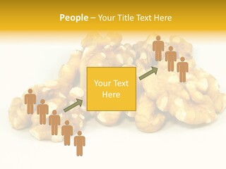 Section Natural View PowerPoint Template