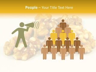 Section Natural View PowerPoint Template