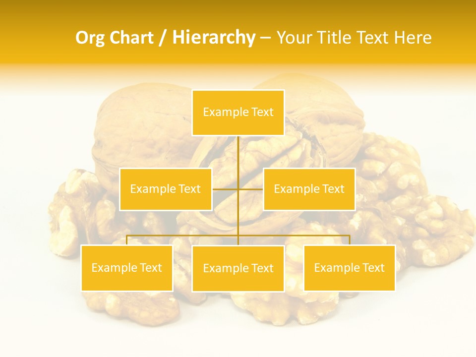 Free Clip Art Walnuts PowerPoint Template