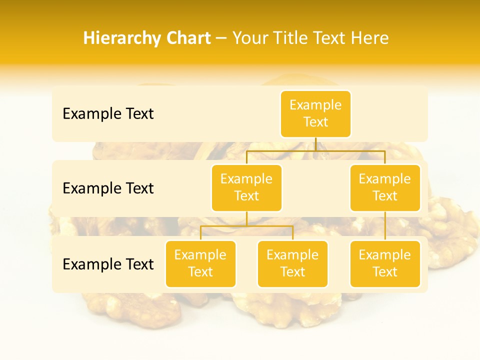 Free Clip Art Walnuts PowerPoint Template