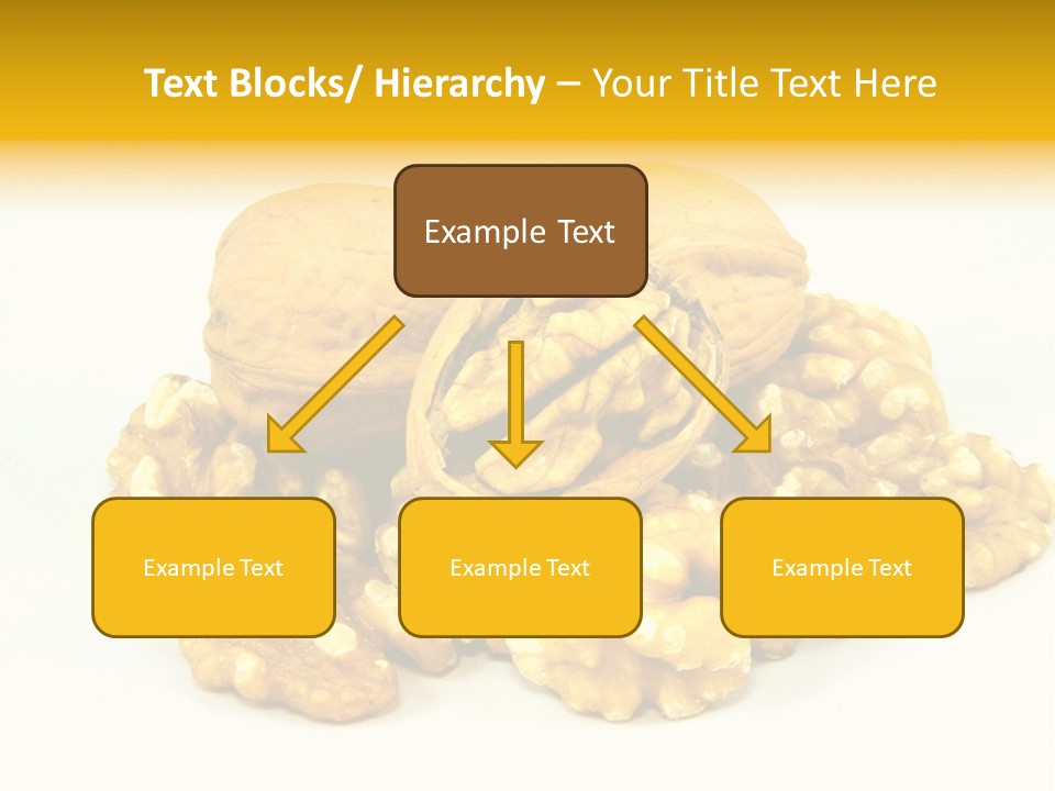 Free Clip Art Walnuts PowerPoint Template