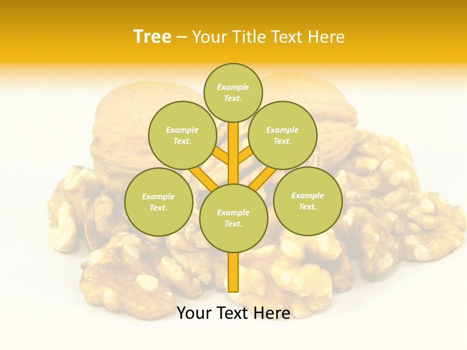 Free Clip Art Walnuts PowerPoint Template