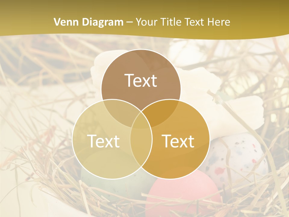 Chocolate Decoration Junk PowerPoint Template