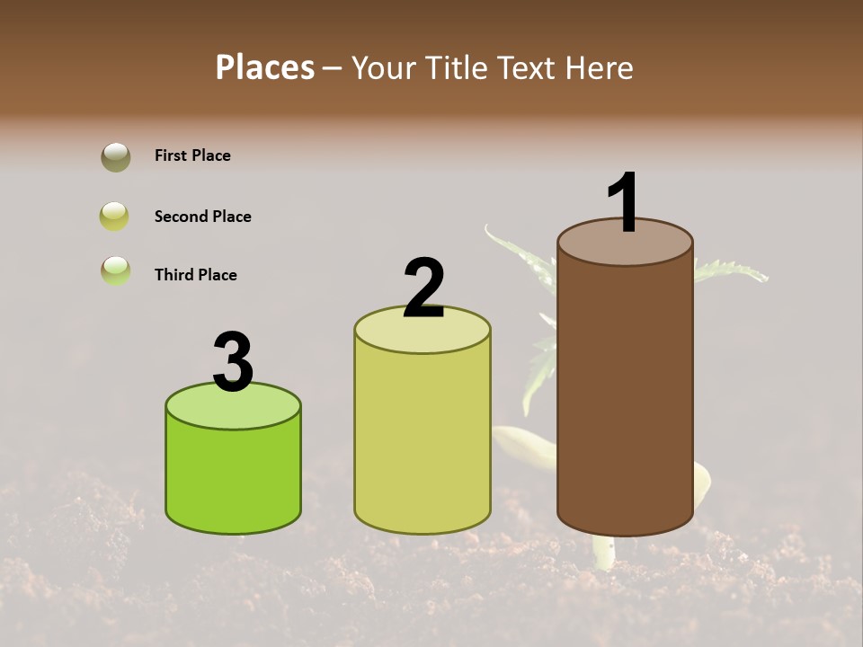 Growing Seeds PowerPoint Template