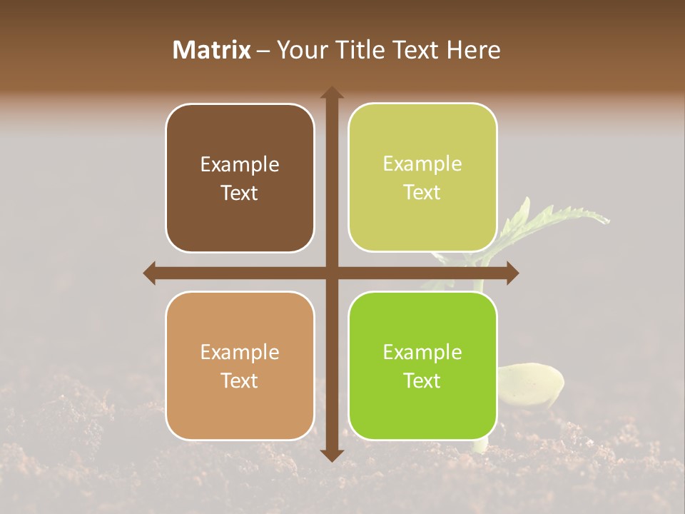 Growing Seeds PowerPoint Template