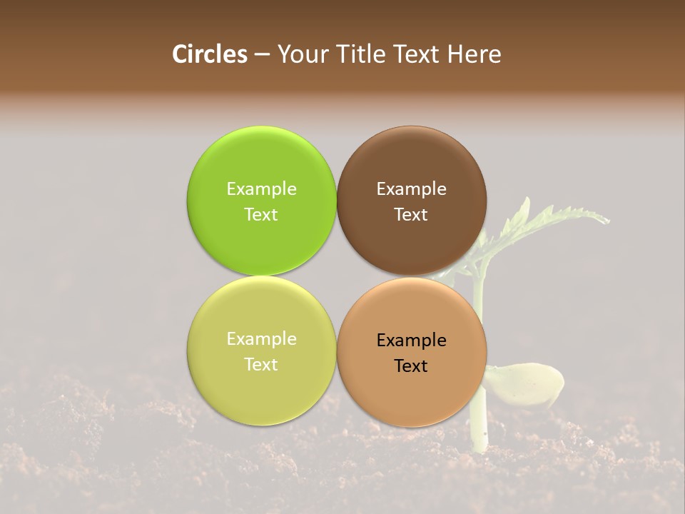 Growing Seeds PowerPoint Template