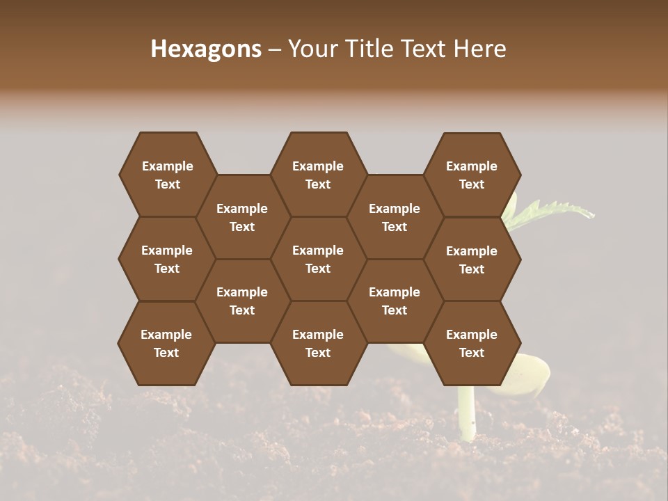 Growing Seeds PowerPoint Template