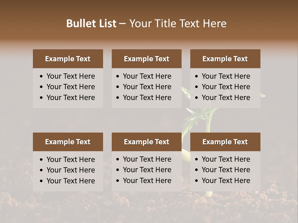 Growing Seeds PowerPoint Template